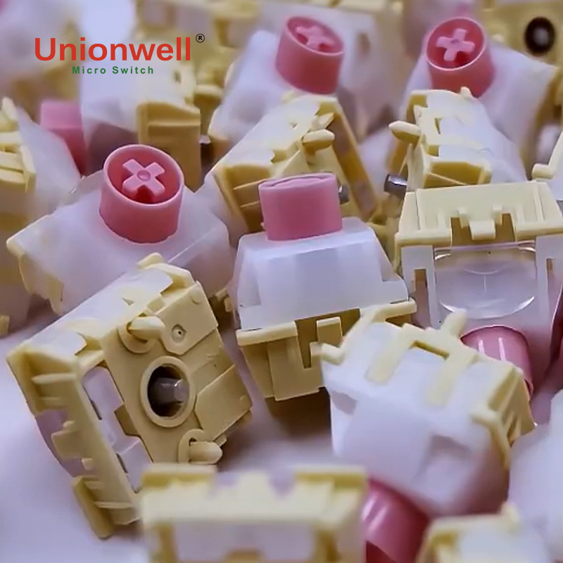 automotive micro switch